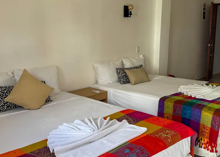 Calma Chicha Hotel Playa del Carmen