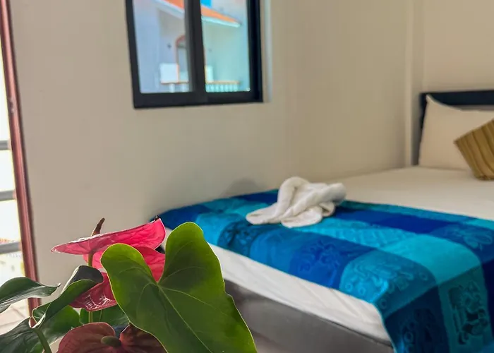 Hotel Calma Chicha Playa del Carmen